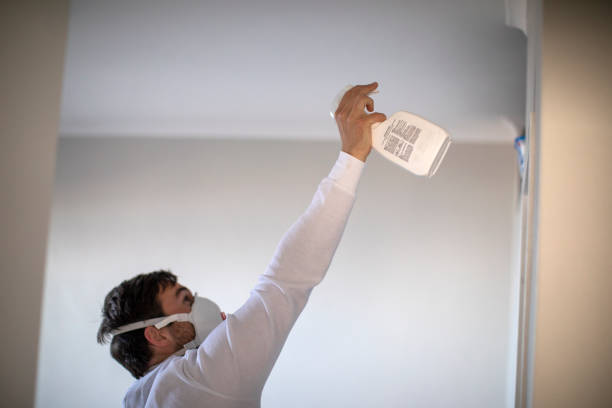 Best Local Mold Removal Service  in Shell Valley, ND
