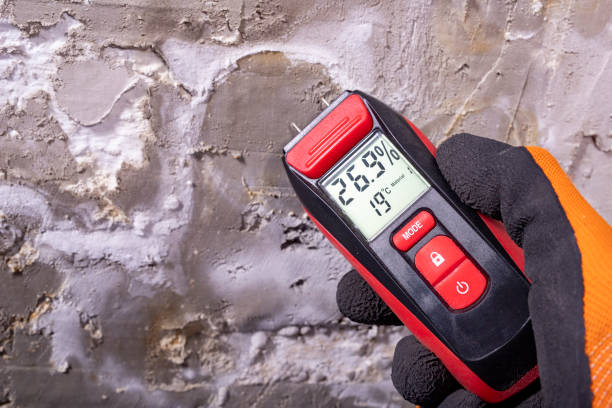 Trusted Shell Valley, ND Mold Removal Experts