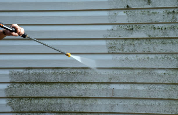 Best Office Mold Removal Services  in Shell Valley, ND