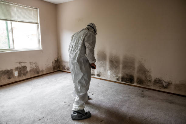 Best Mold Testing  in Shell Valley, ND